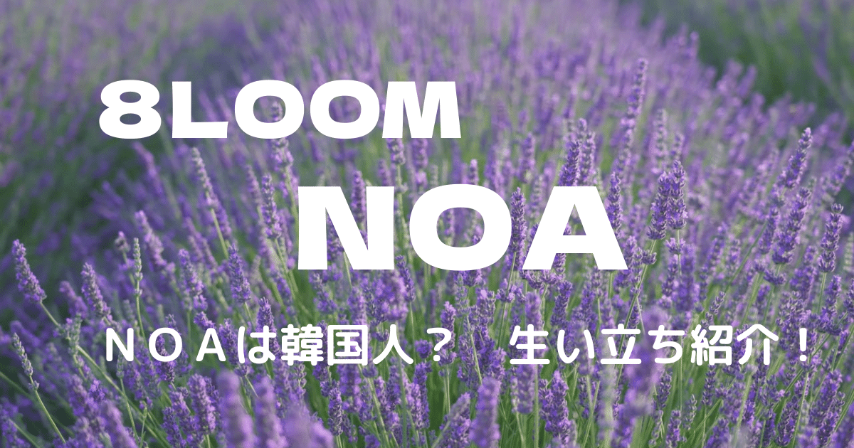 8LOOM-NOA